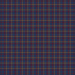 Foulard Edimbourg N°800 Circus