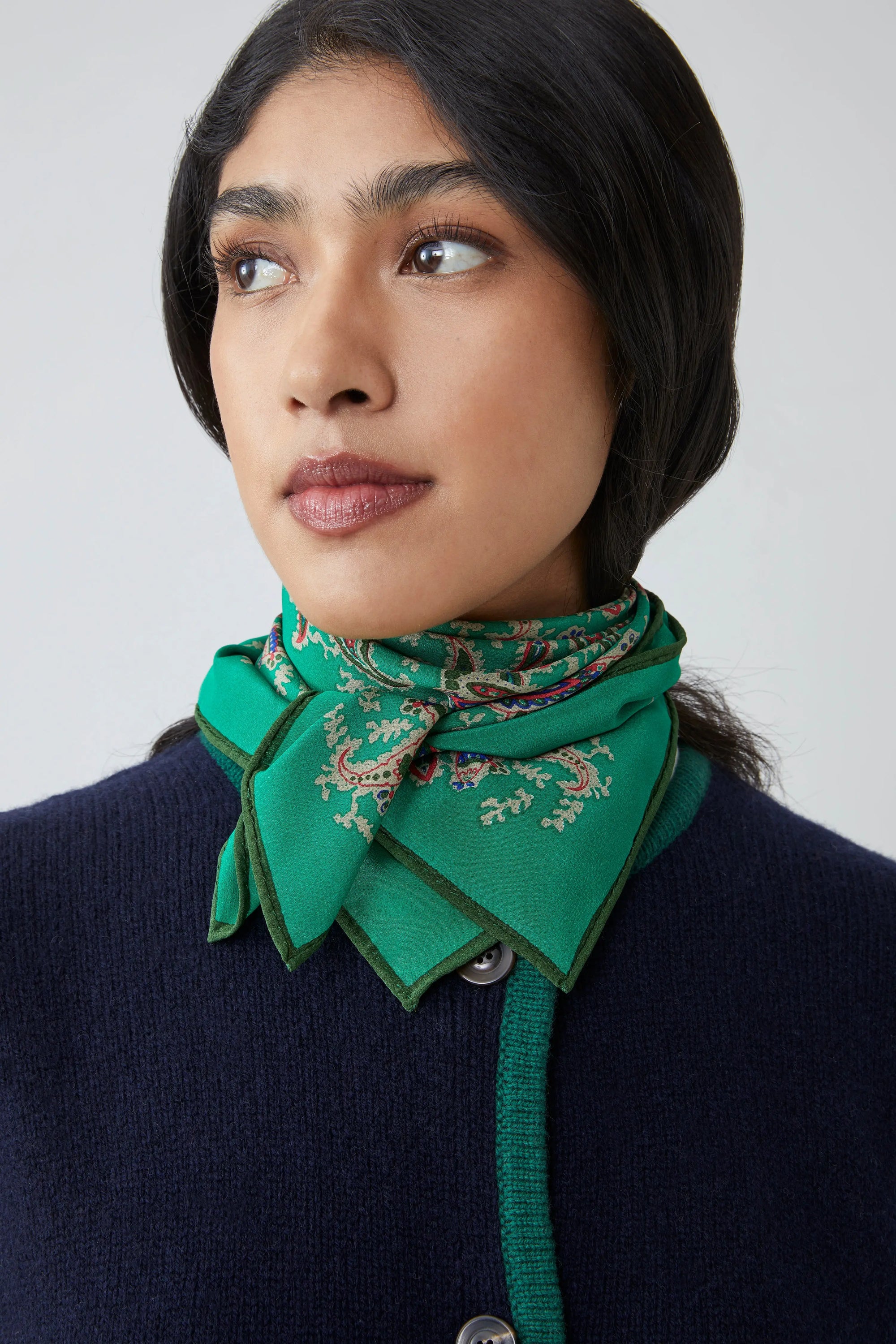 Foulard N°763 Oxford Green - Moismont