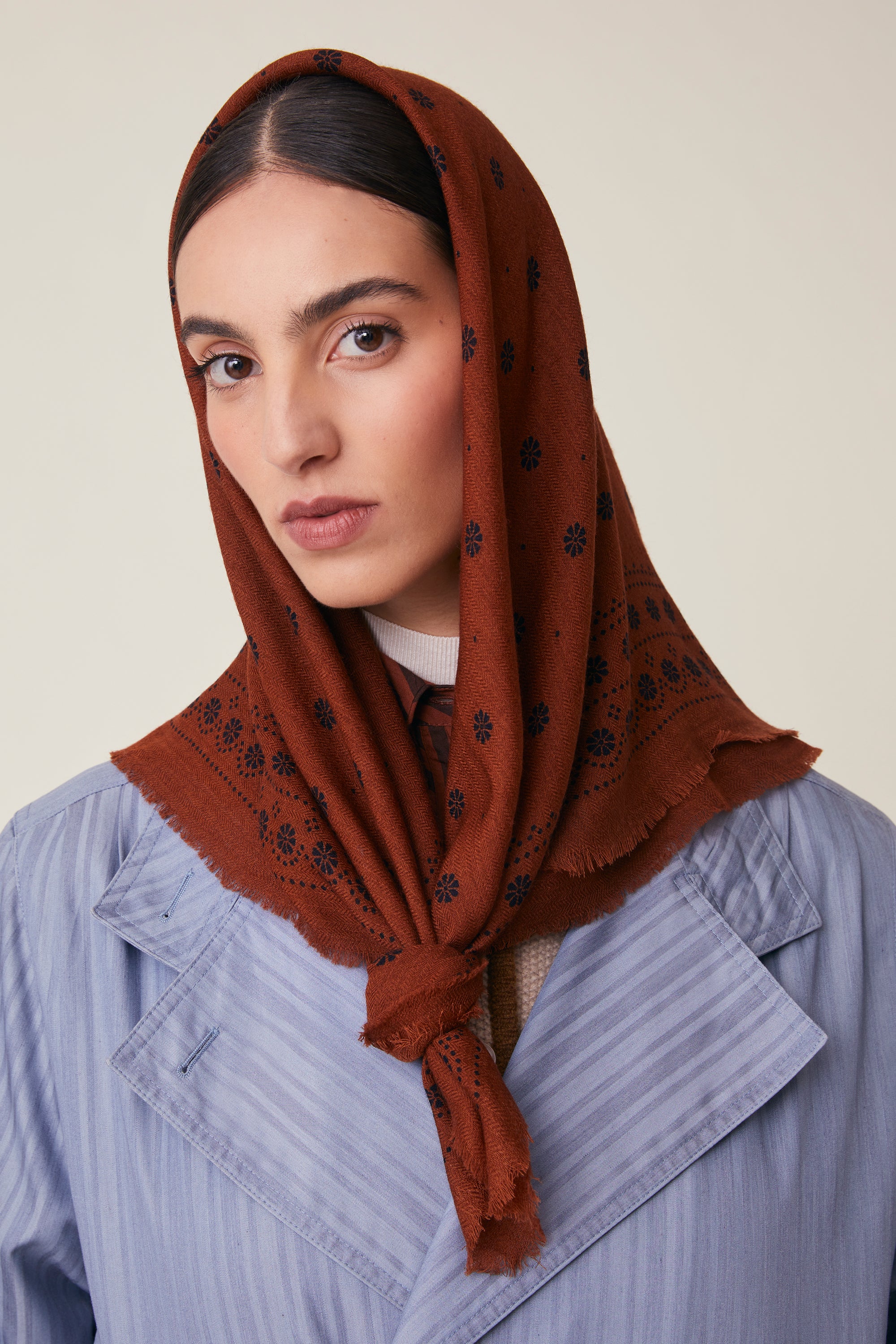 Foulard Achille N°851 Violin