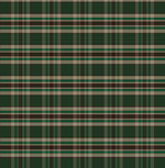 Echarpe Anderson N°803 British Green