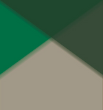 Echarpe Flag N°805 Oxford Green